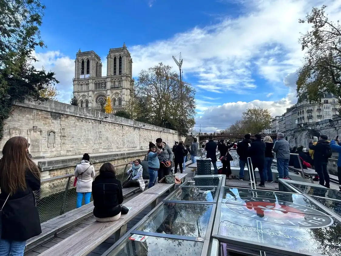 Eiffel Tower cruise tickets: view of Notre-Dame from the river